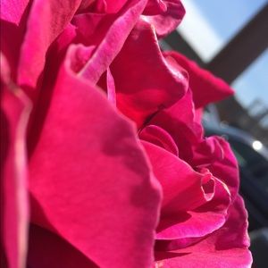 Meet your Posher, Justyce